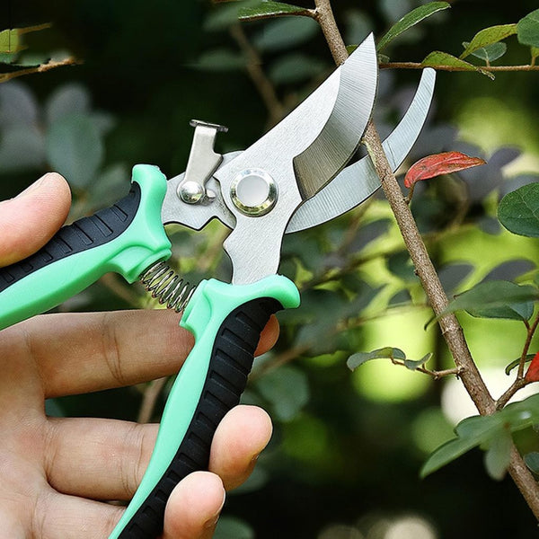 Tesouras de poda Tesouras de jardinagem Super afiadas